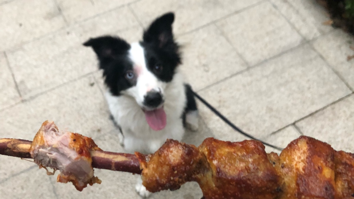 狗狗能吃卫龙辣条嘛