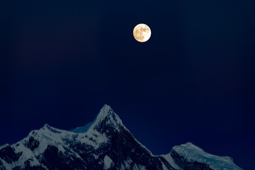 17651