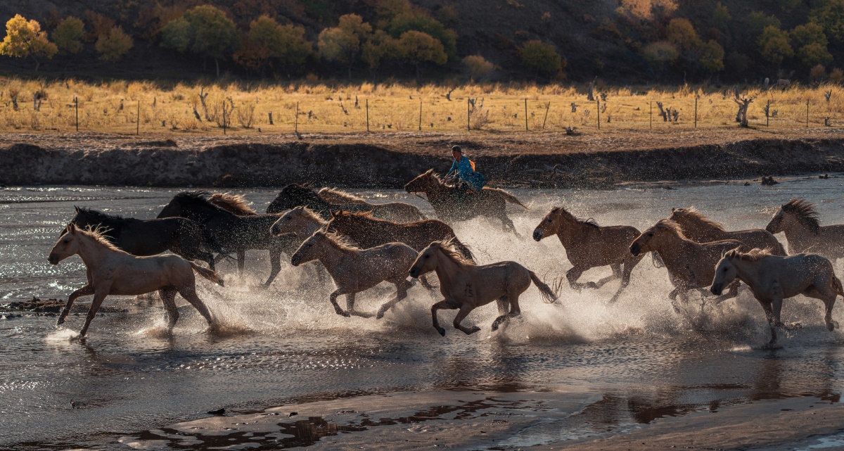 铁马冰河入梦来