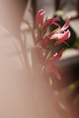 7B16D2BF-C9B6-4B3B-9B1A-00C3D262C384/L0/001