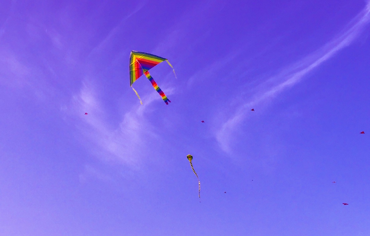 小组#风筝休闲娱乐放假度假#周末时光唯美安静惬意飞自由风今日天空