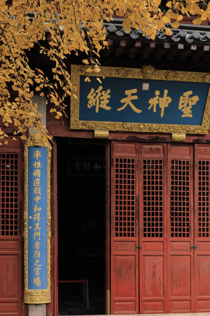 杭州孔庙银杏黄枫叶红