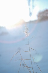 200971AA-8C0A-4F22-8915-A681C5DAADA2/L0/001