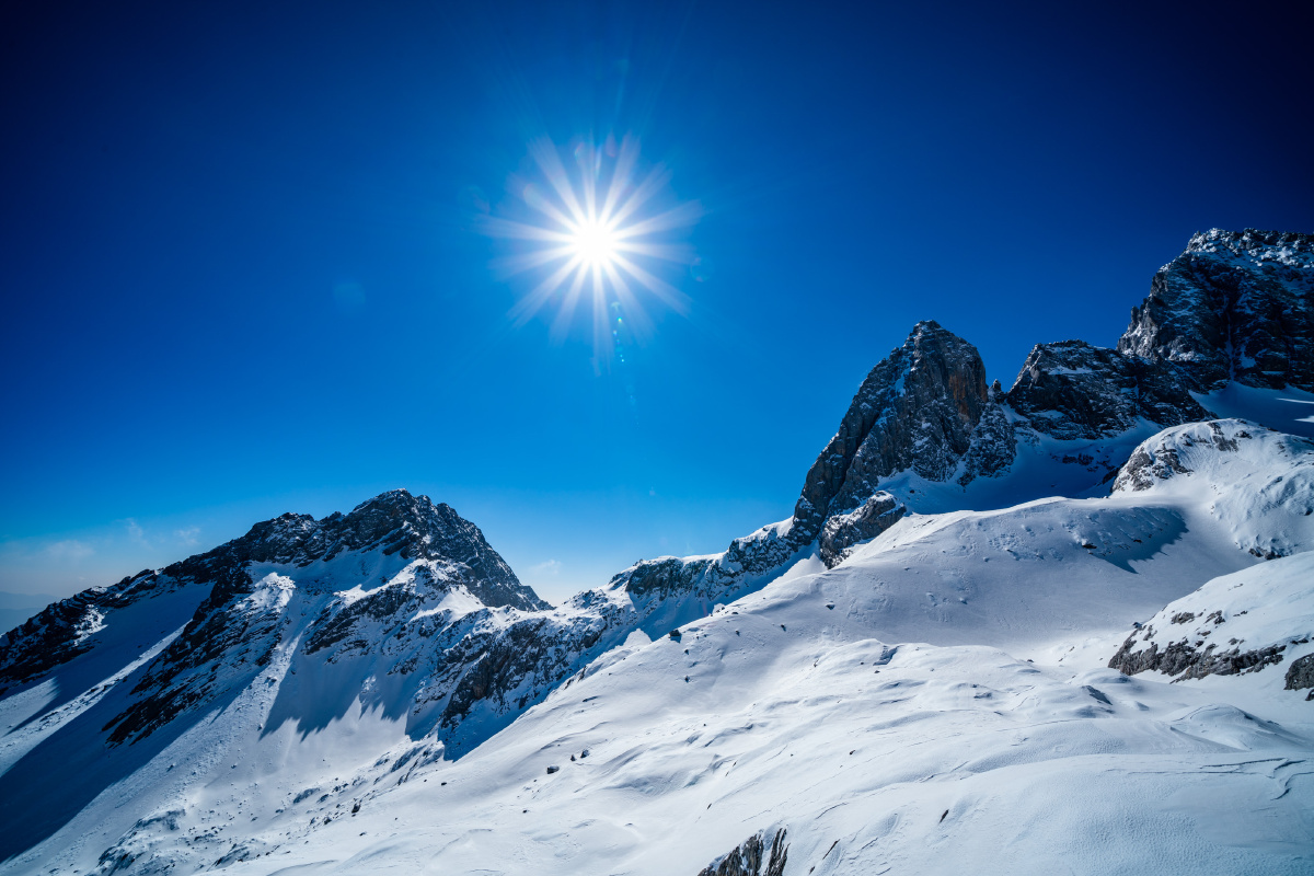 不知所谓的乐茄