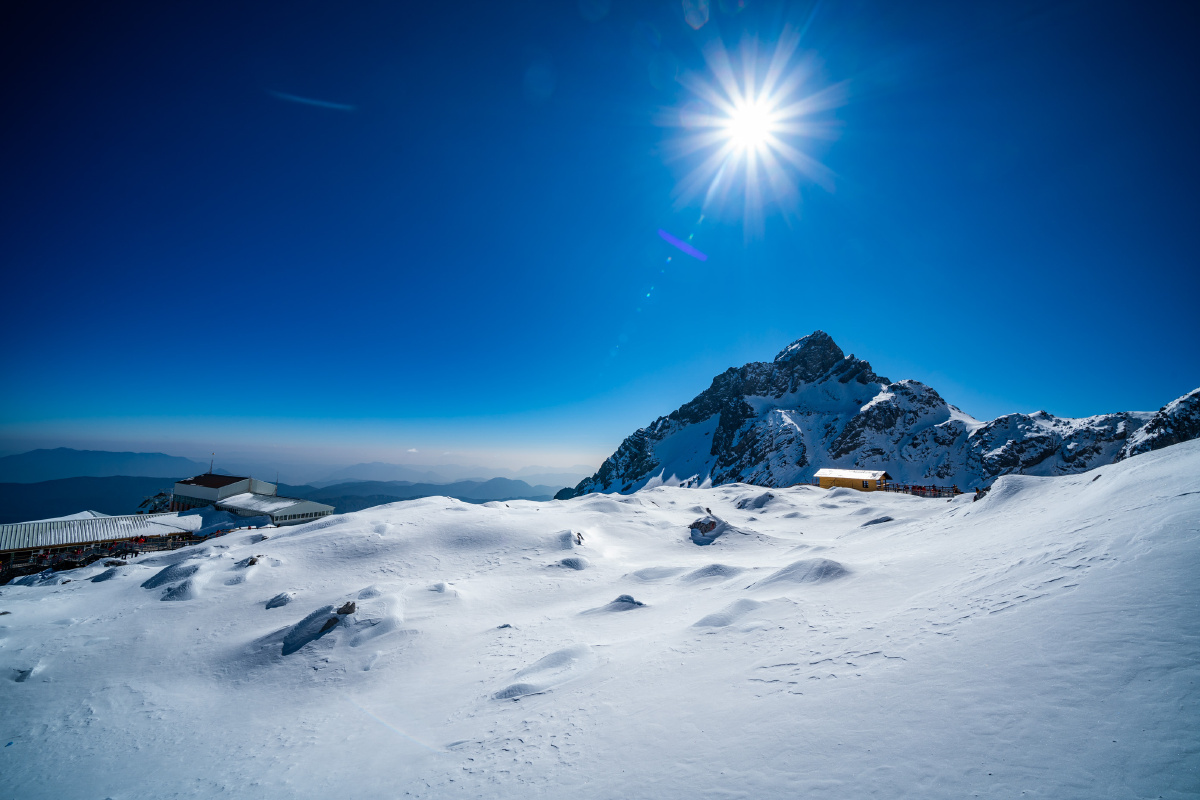 不知所谓的乐茄