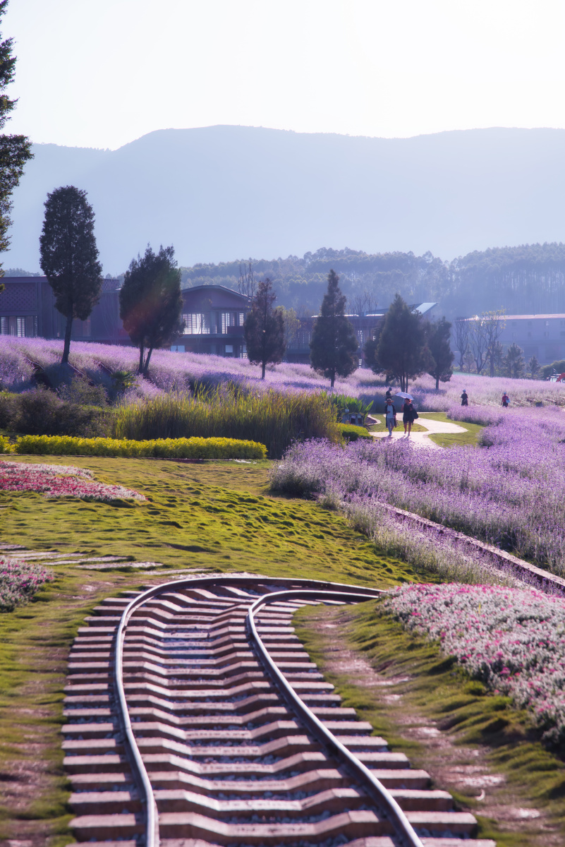 云南弥勒东方韵