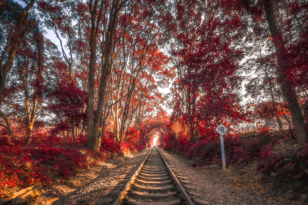 喜欢的点赞私我拿原图 - 优质壁纸库