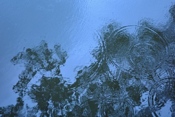 8F087615-B199-4DE6-8BC7-FBFE343CEE4F/L0/001