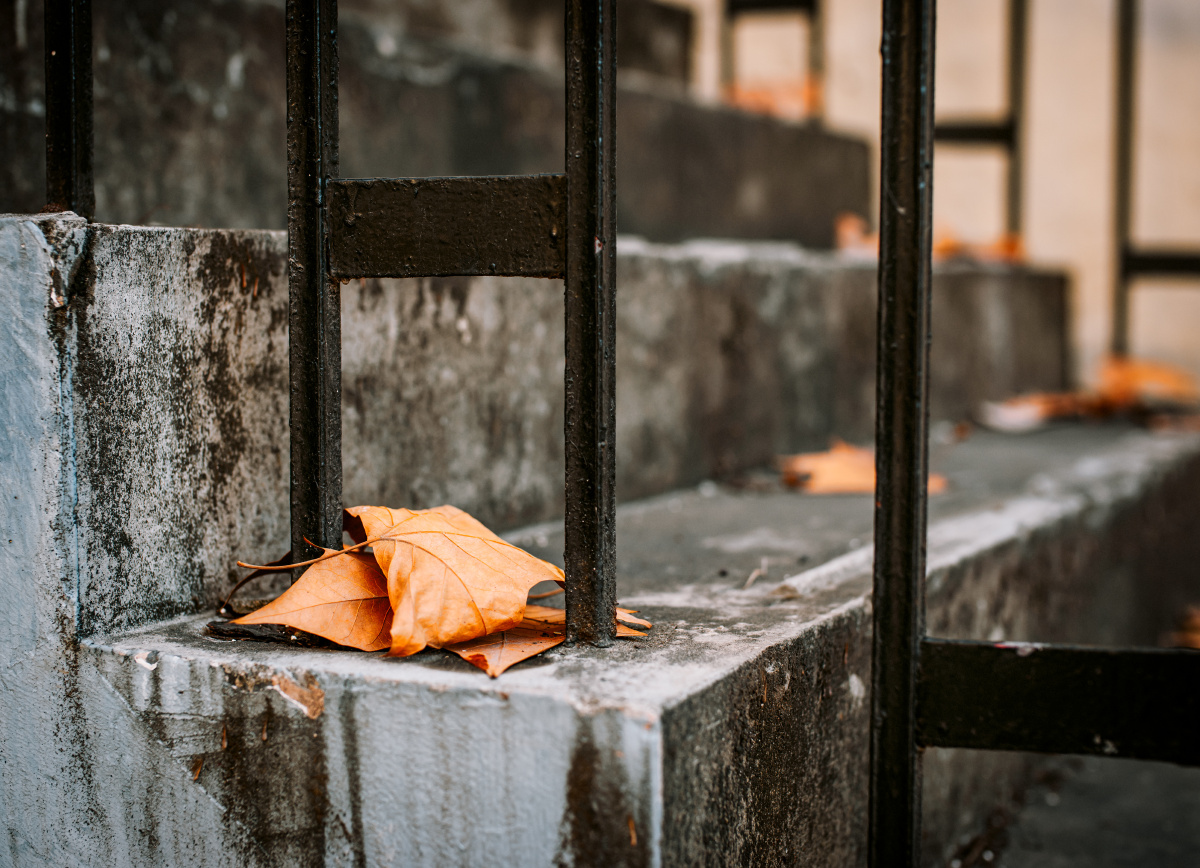 闲逛魔都煦园旧址