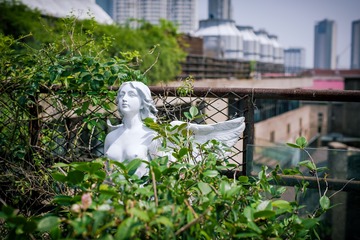 IMGP6077-编辑