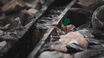 229006