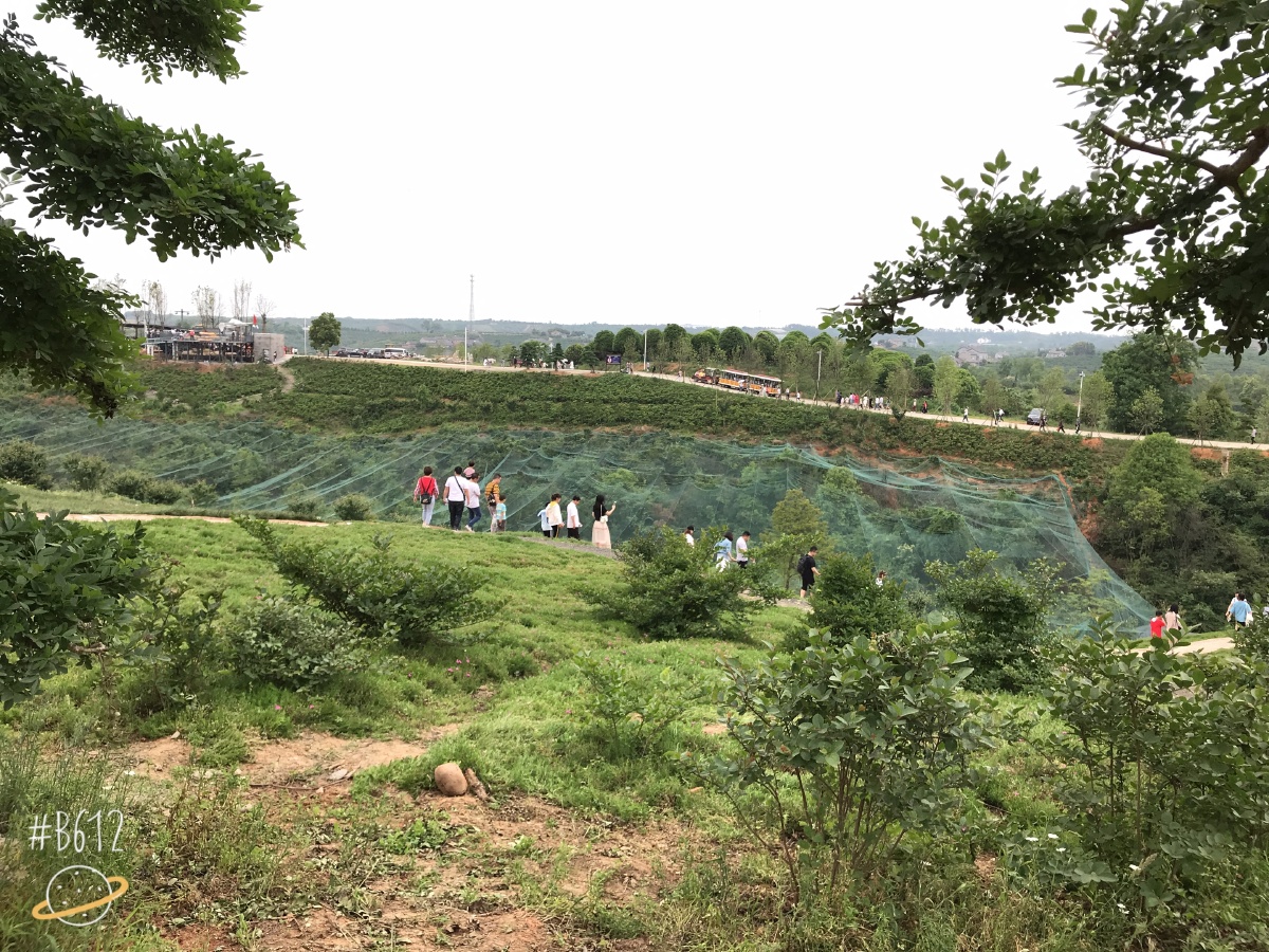 贵阳苗木基地出租
