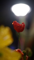 47622A13-61DB-445C-8DA1-08423C4EBA5F/L0/001