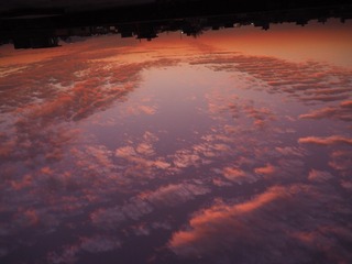 1076848