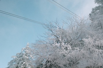 0C31C0F7-15FC-4E24-930F-0F2C09DAE7F9/L0/001