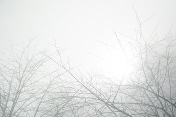 AB7E1235-7DFE-4A9C-B457-F3CF6DBC0E28/L0/001