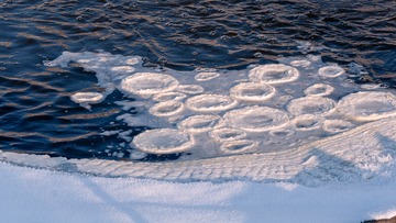 439651