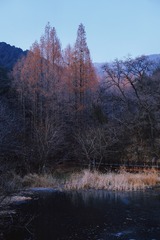 14BE3525-413E-4DDA-A39F-FAD45ECE0B2C/L0/001