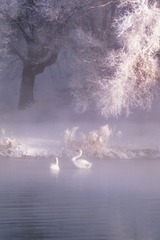 C74E8E19-1EDB-41B4-BA29-E5EB7F67AD6B/L0/001
