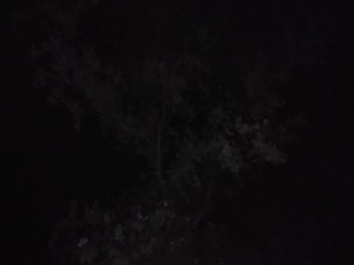 120128