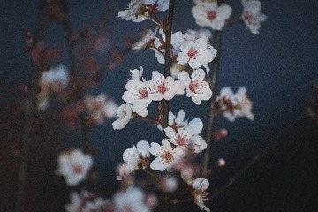 65799
