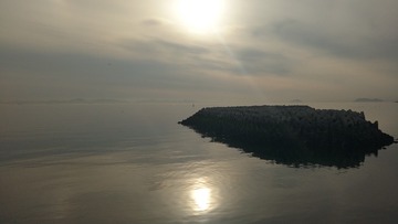 4629506