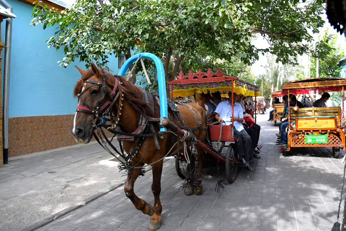 2018年9月摄于喀赞其,这种马车是伊宁市最古老的交通工具.天鸿123关注