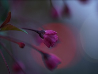 102183