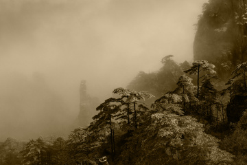 黄山的海下世界