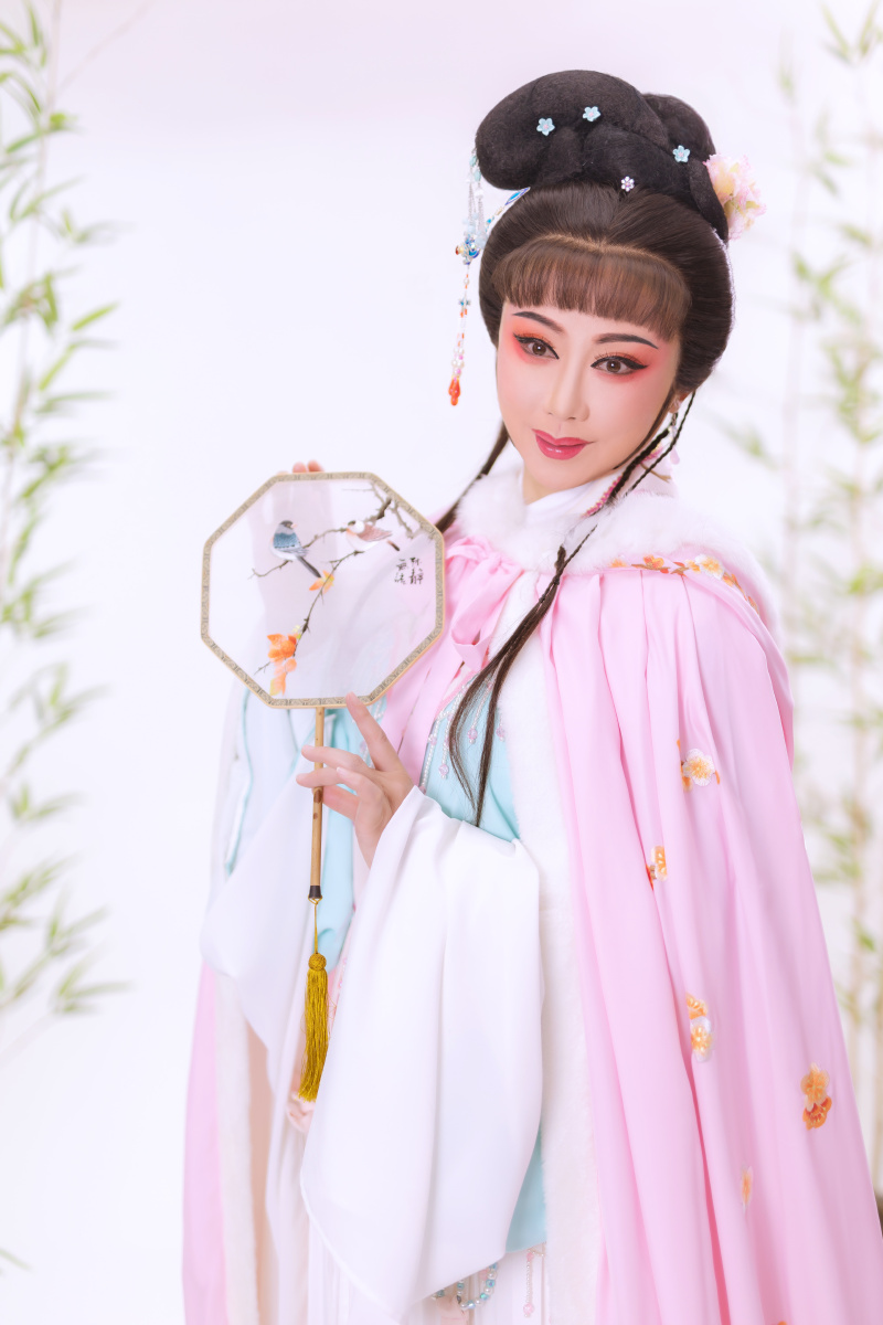 天上掉下个林妹妹戏曲写真越剧黄梅戏红楼梦林黛玉