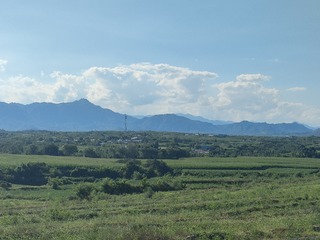 1000014043