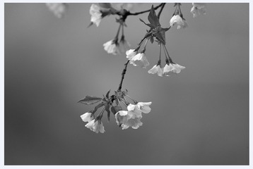 6BDF5C44-178F-4835-A160-F1ECFA38FA2C/L0/001
