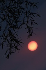 974BFAEA-2558-466E-8CF4-9A25F85EC28B/L0/001