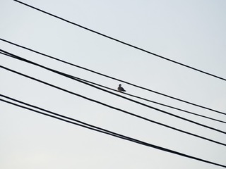 D7E83990-7A02-48C9-BD66-84A120B38A27/L0/001