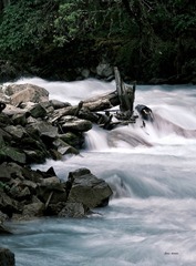 03059D87-E629-43A6-BE95-C196A2DDDF5D/L0/001