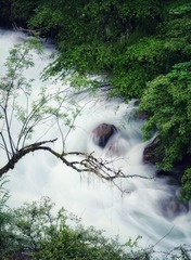 704D91D3-4287-4B8B-936E-B14BBD3F2F56/L0/001