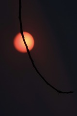 C8BD98E7-FD15-4CCD-B411-E005D5E33A10/L0/001
