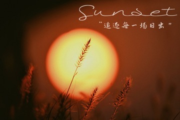 988B7D73-146F-4ABF-A223-F1D7FE1E1E1A/L0/001