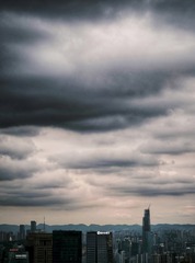 4BF31703-DA0B-44CB-ACC6-745DF2EA401E/L0/001