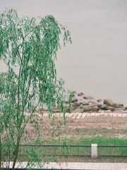 99819577-946F-46C3-BFD0-5BA31629B59F/L0/001