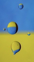 40D0D59C-C4F1-46B6-BB22-FDD3732C0C72/L0/001