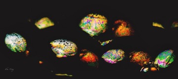 EDEB5673-CA11-4072-8D10-CCDBC72A9CCF/L0/001