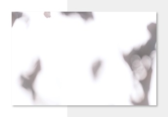 E5F7C780-452E-474A-974A-CD53C38A11CF/L0/001