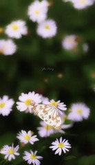 946C45A6-6139-4E99-A2BD-CCCB2A75D632/L0/001