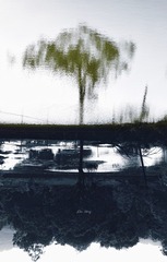 14C80C84-5637-4AAF-8024-BBAB2A6C9E74/L0/001
