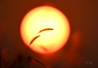 B3E0E75D-AA11-4434-B7B4-95C3C4D8D1B2/L0/001