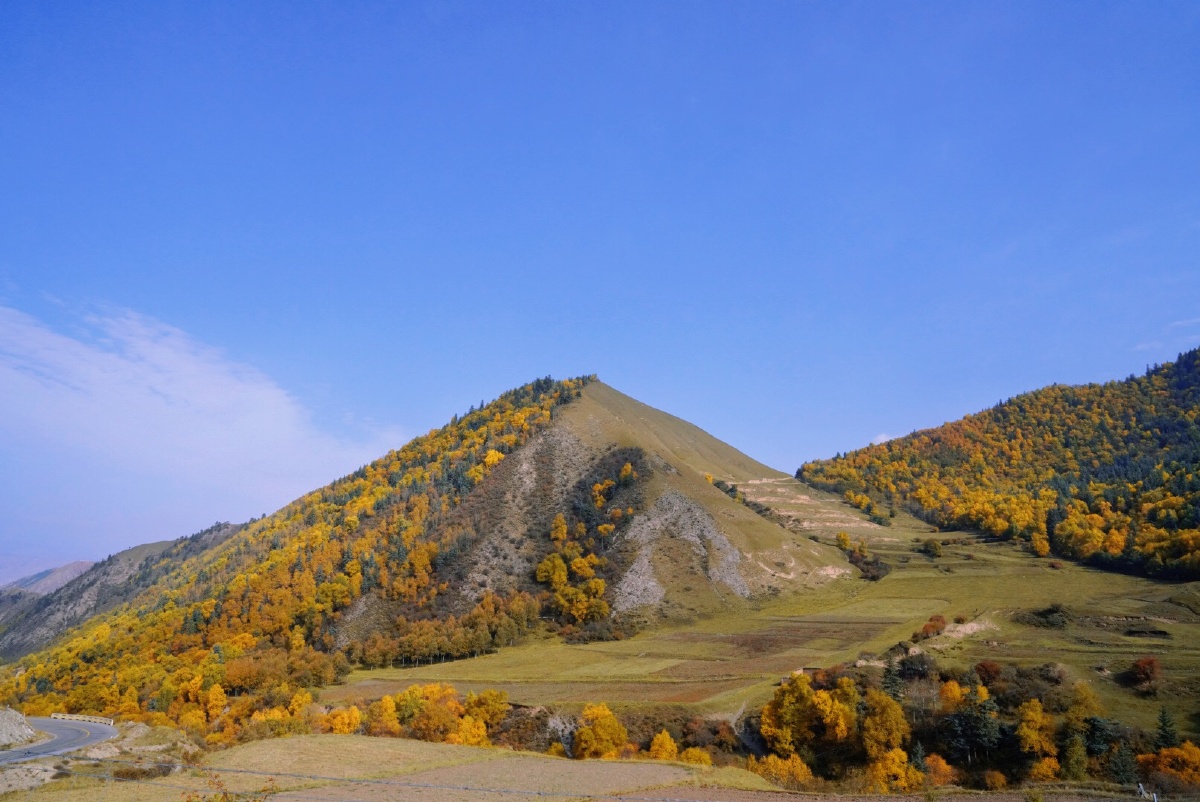 旅行自驾美好的风景在路上甘南贵德坎布拉国家森林公园