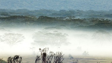 层层尽然