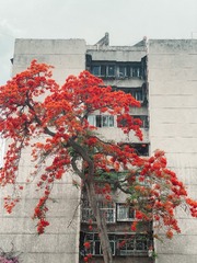 89AE01AF-A6D3-43B2-A35F-8337CFC76DCF/L0/001
