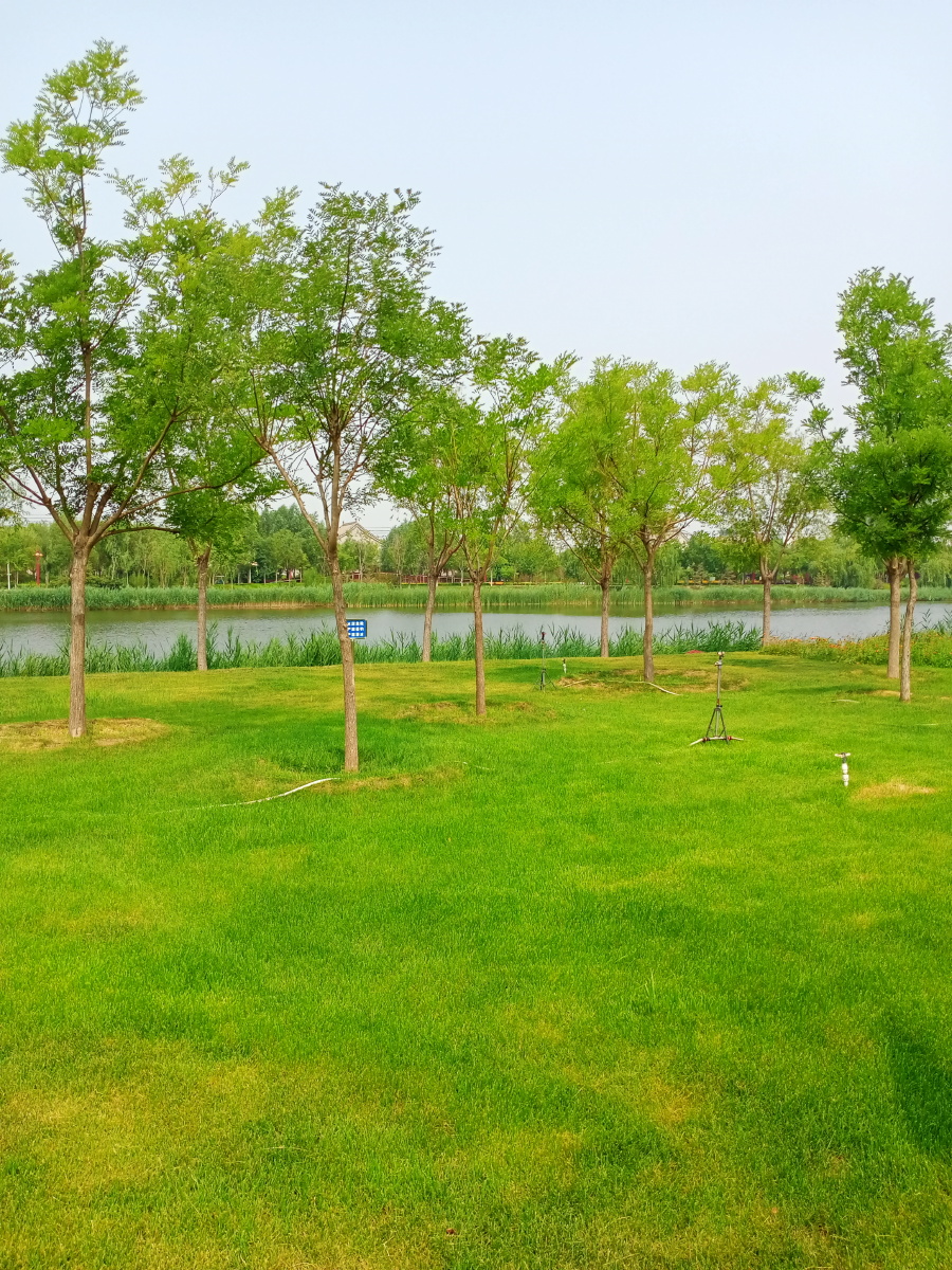 北湖公园游2021年7月5日周一